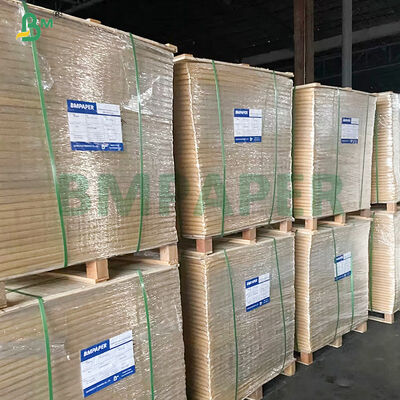 250g+ 10g 2S PE Carton brun pour contenants de préparation de repas