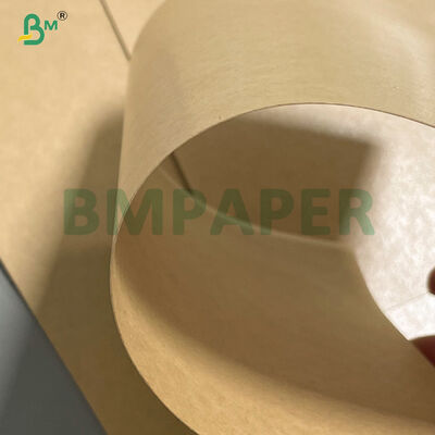 300 grammes de papier kraft brun à double face PE revêtu de graisse