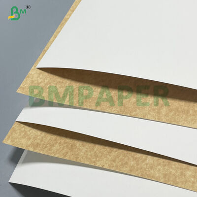 100% pâte de bois vierge 280 g/m² 300 g/m² carton kraft blanc couché pour contenants alimentaires