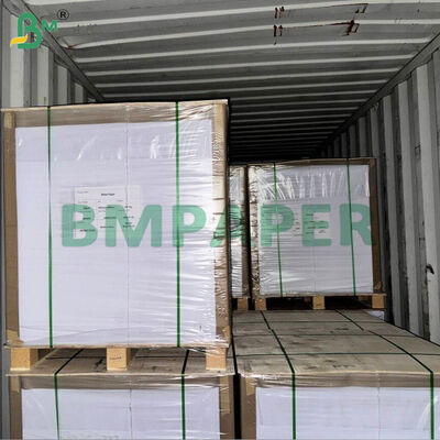 WTKB Carton alimentaire Carton kraft recouvert de blanc d'un côté pour l'emballage direct des aliments