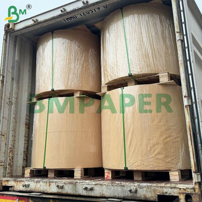WTKB Carton alimentaire Carton kraft recouvert de blanc d'un côté pour l'emballage direct des aliments