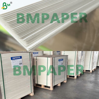 Absorbance élevée et volume blanchis non enduits double face de carton-pâte
