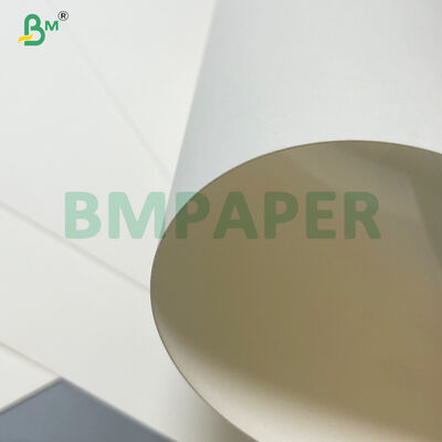 Résistant à l'huile 20gm 24gm PE revêtu de soupe chaude