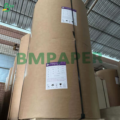 300 gm + 15 g de papier kraft brun revêtu en PE pour plateau de nourriture de rue 85 cm