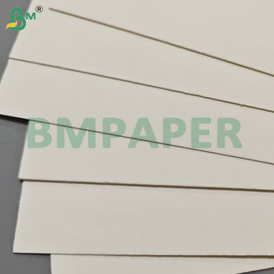 300gsm High Stiffness Food Grade Noodle Base Bowl Paper Sheets