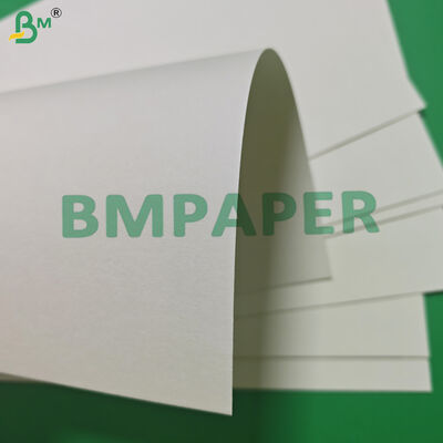 0.8mm 0.9mm Absorbent Coaster Paper Board for Catering BPA - Free 700 x 1000mm