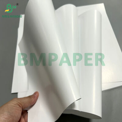 80gsm C1S Papier pour sachets de thé pour l'impression d'enveloppes extérieures de sachets de thé 86cm