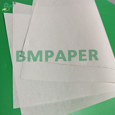 50gsm White Coffee Filter Paper Roll For FETCO F002 Eco - Friendly 350mm
