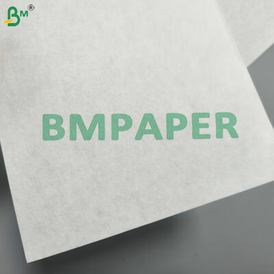 50gsm White Coffee Filter Paper Roll for Coffee Basket Filters
