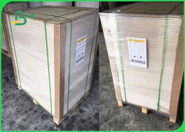 Papier d'offset thermiquement étanche 80 gm + 15 gm PE revêtu de papier d'offset blanc