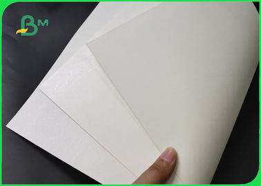300gm de carton d'ivoire + 15g de papier revêtu en PE avec boîte à lunch