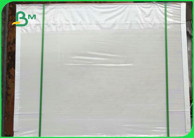 Carton d'ivoire recouvert de PE blanc de 300 gm pour la fabrication de boîtes à aliments 50 * 70 cm