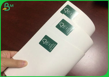 300GSM 610*860MM Couleur blanche C1S Carton d'ivoire pour la fabrication de boîtes pliantes