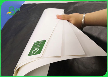 Carton FBB enduit pour emballage de chaussettes invisibles 350GSM 400GSM
