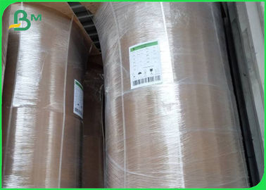 Ruloir de papier kraft de bambou écologique 50GSM - 250GSM
