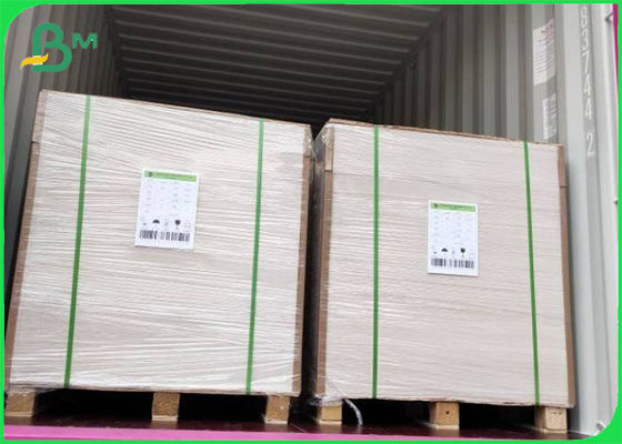 Impression offset en carton d'ivoire FBB revêtu de pâte vierge 305g / 345g