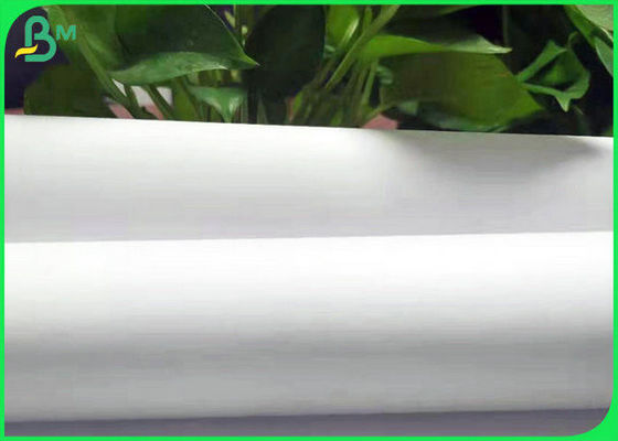 Papier écologique blanc avec une largeur de 70 à 80 pouces