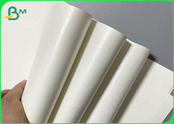 Le revêtement de PE de 280GSM 15g a stratifié le papier imperméable de Cupstock pour la tasse à emporter