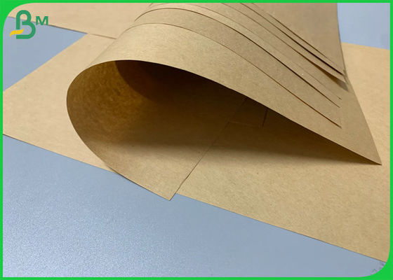 Papier 787mm de revêtement du petit pain 120GSM de papier d'emballage de pâte de bois de FSC 889mm