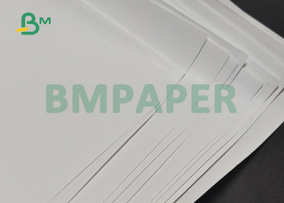 petit pain de papier de l'imprimerie 55gsm thermique pour le reçu 600mm d'atmosphère de position 650mm BPA libres