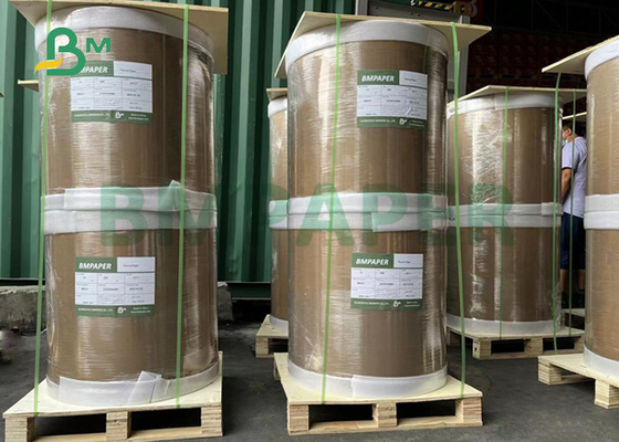 petit pain de papier de l'imprimerie 55gsm thermique pour le reçu 600mm d'atmosphère de position 650mm BPA libres