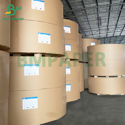 Boîte à emballage alimentaire imperméable à la graisse en rouleau de papier revêtu en PE