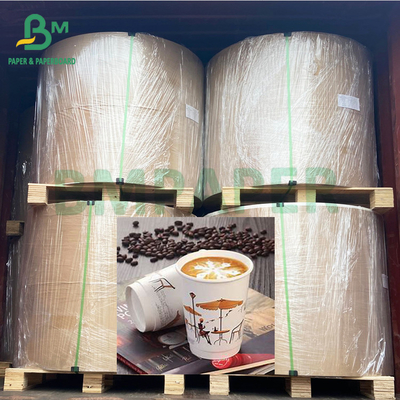 Bouteille de nouilles 225gm Ruloir de papier imperméable en PE revêtu de tasse de café