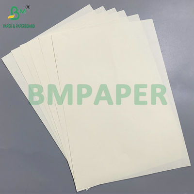 Papier sans bois écologique en pâte de bois 70g/80g/100g ivoire, respectueux des yeux