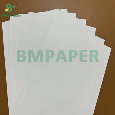 Papier d'étiquette pour boissons réfrigérées 75 gm 80 gm