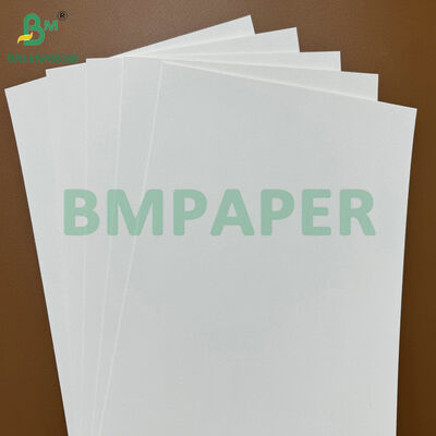 200 grammes de papier de base en matière brute absorbant écologique pour la fabrication de tapis de bière et de tapis de tasse