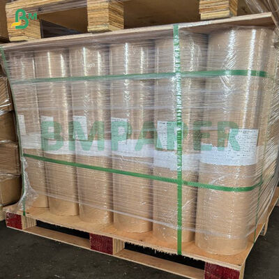 Papier de couchage absorbant pour poulets hygiénique emballé à haute résistance